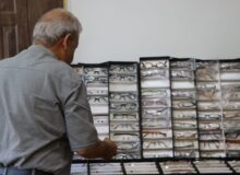 ارائه خدمات رایگان پزشکی و دندانپزشکی، به ۴۰۰ خانواده نیازمند در ماهدشت و محمدشهر