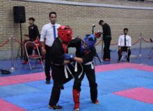 سی‌وپنجمین دوره مسابقات کشوری نینجوتسو، در ماهدشت برگزار شد