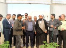 موانع تولید یک گلخانه در شهرستان چهارباغ بررسی شد