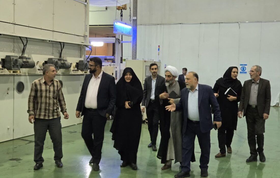 پرداخت ۸۰ میلیارد ریال حمایت بیمه‌ای برای اشتغال معلولان / دعوت به مشارکت بیشتر کارفرمایان البرزی