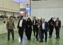 پرداخت ۸۰ میلیارد ریال حمایت بیمه‌ای برای اشتغال معلولان / دعوت به مشارکت بیشتر کارفرمایان البرزی